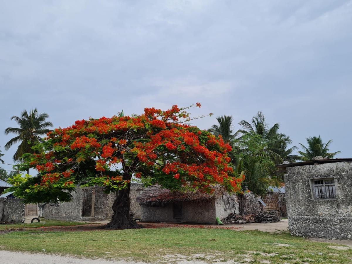 Beachfront Villa Ladha Ya Zanzibar Jambiani  Bagian luar foto