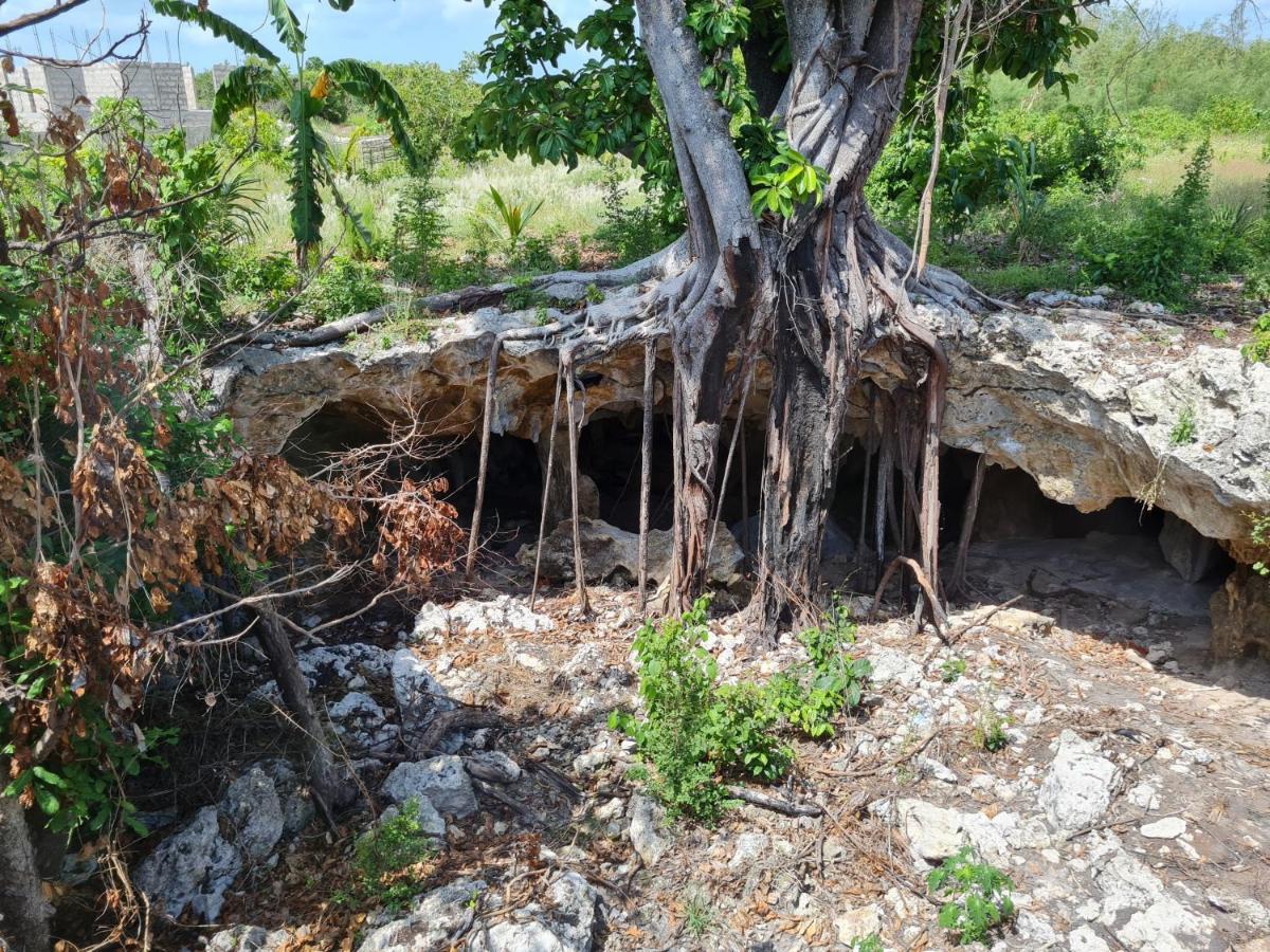 Beachfront Villa Ladha Ya Zanzibar Jambiani  Bagian luar foto