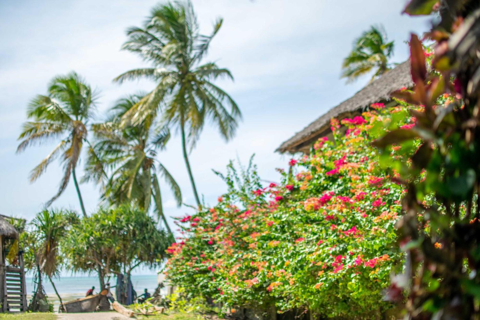 Beachfront Villa Ladha Ya Zanzibar Jambiani  Bagian luar foto